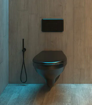 How to unclog a toilet?