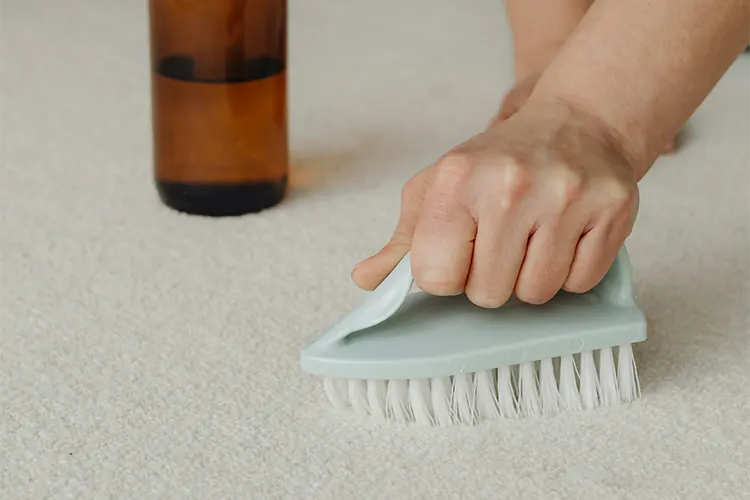 Clean a carpet step by step: scrub brush process
