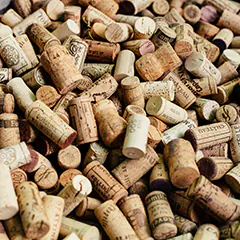 Cork stoppers to get rid of fruit flies