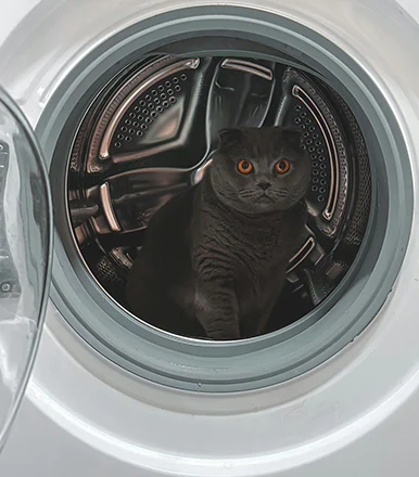 Comment nettoyer une machine à laver ?