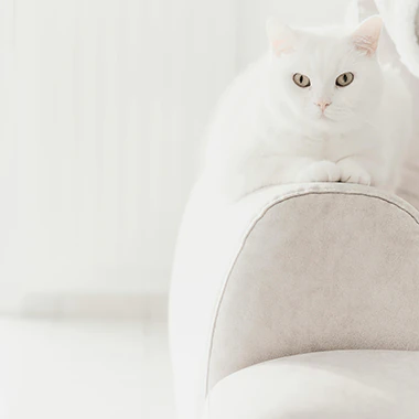 Nettoyer sa machine plus blanc que blanc